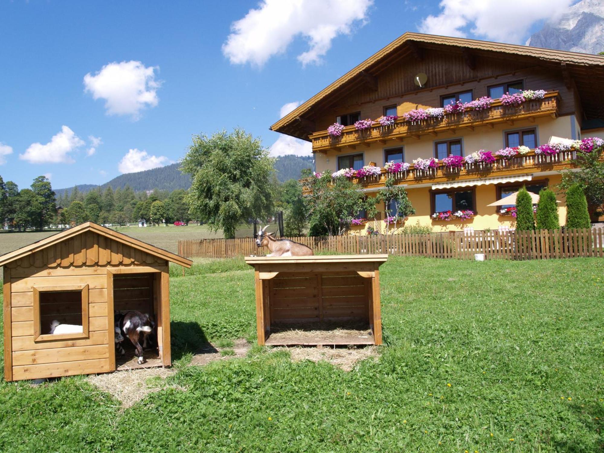 Ferienwohnung Alpenecho Ramsau am Dachstein Buitenkant foto